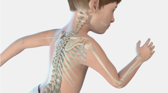 청소년기 이미지