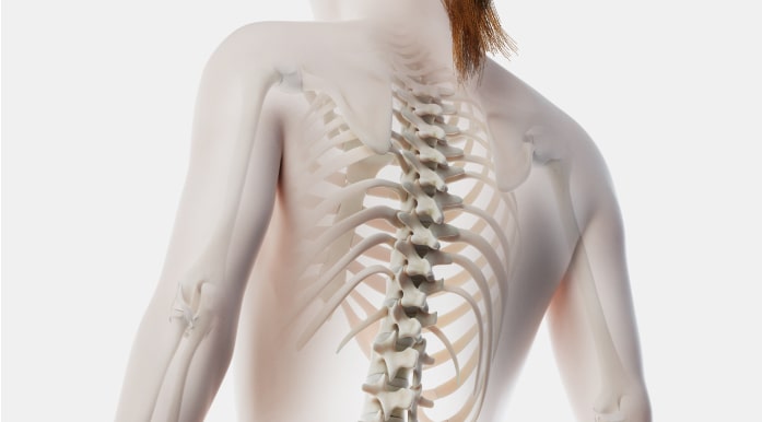 청소년기 이미지