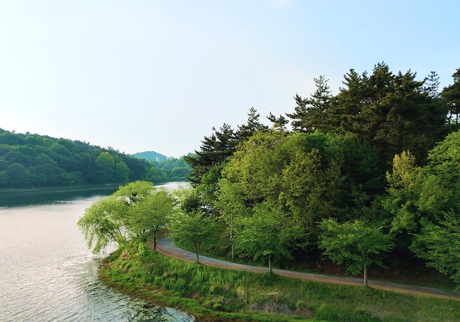 추나 치료 설명